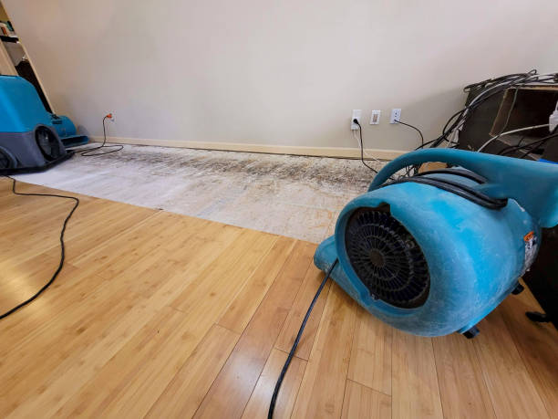 Professional Water Removal technician working in Buffalo, WY
